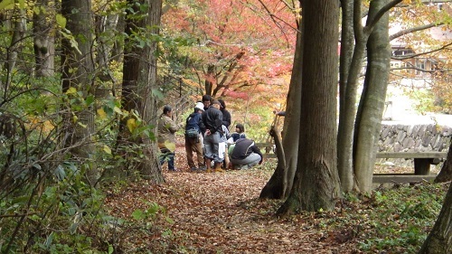 紅葉のセラピーロード散策の画像