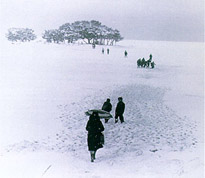 昭和38年の豪雪で凍結した宍道湖（写真）