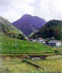 西田から望む矢滝城山
