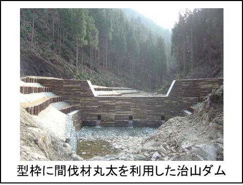 型枠に間伐材丸太を利用した治山ダムの画像