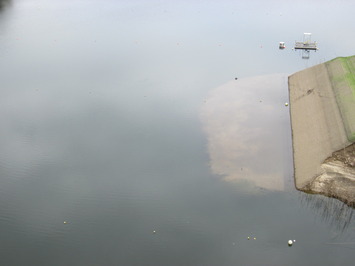 スサノオ大橋からスタート方向を見た水位の状況（その2）