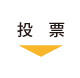 衆議院議員総選挙のしくみ_11