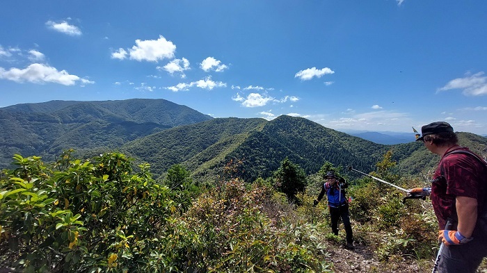 山頂付近からの画像