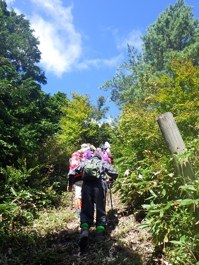 山頂まで最後100mの登りの画像