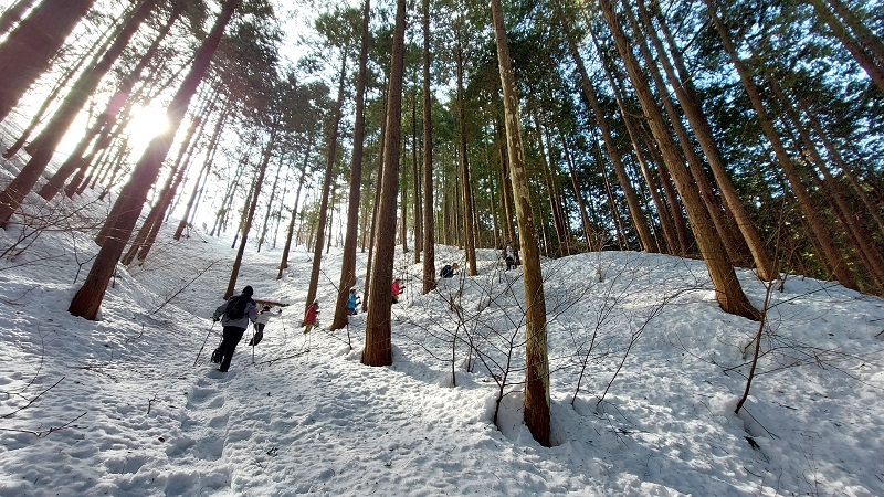 木地屋Aルートを上る画像