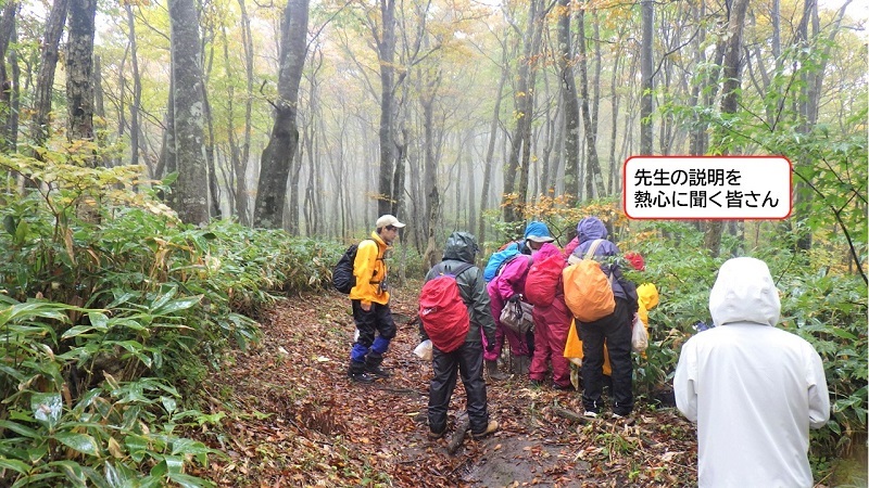 遊歩道で説明を聞く参加者の様子