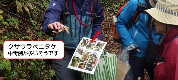 クサウラベニタケの説明をされる様子