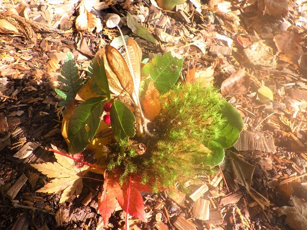 あつめた素材の画像