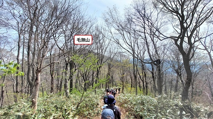 毛無山縦走路を参加者が歩く画像
