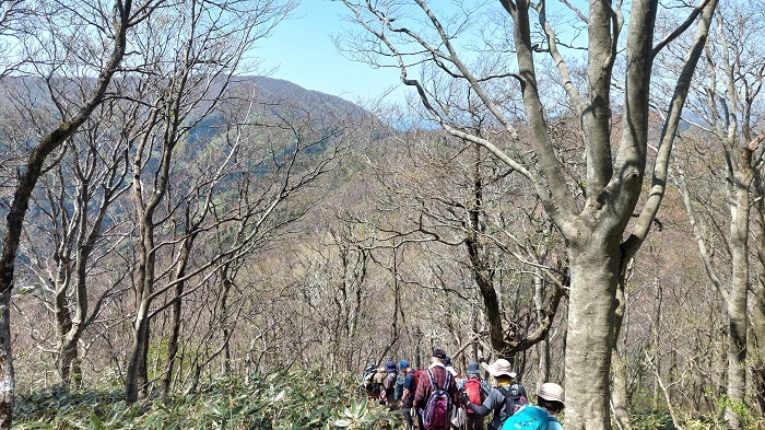 山頂から下り階段を下りる画像