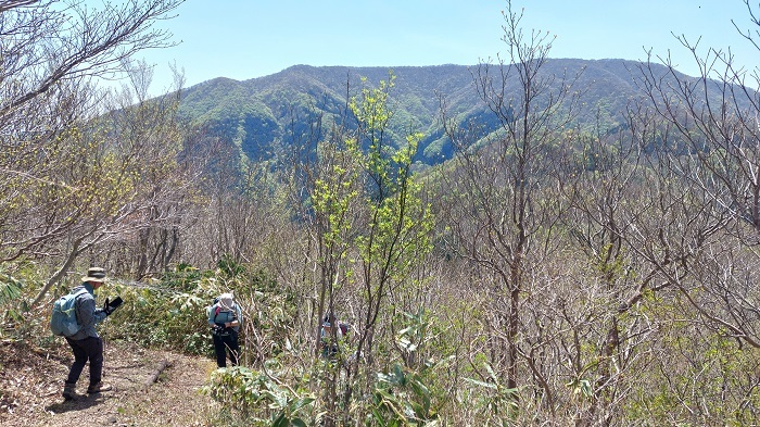 登山道に咲く花を撮影する参加者