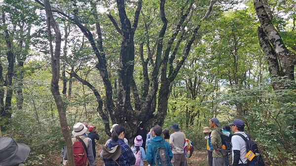 山頂タコブナの画像
