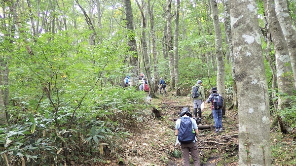 遊歩道をきのこを探しながら歩く参加者の画像