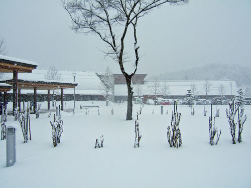 （写真）センターの雪景色２
