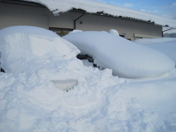 （写真）雪だるまならぬ雪車
