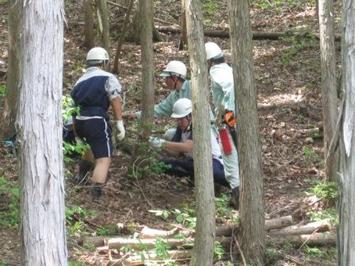 （写真）森林保護育成グループ班作業の様子