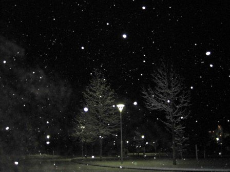 （写真）昨夜の雪