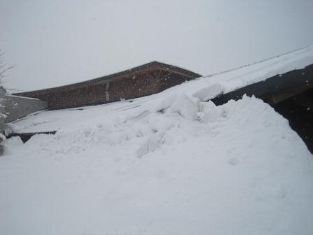 （写真）雪で実験棟も見えません