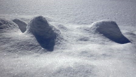 （写真）キラキラしている雪