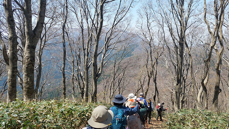 登山口駐車場まで、縦走路を引き返す画像
