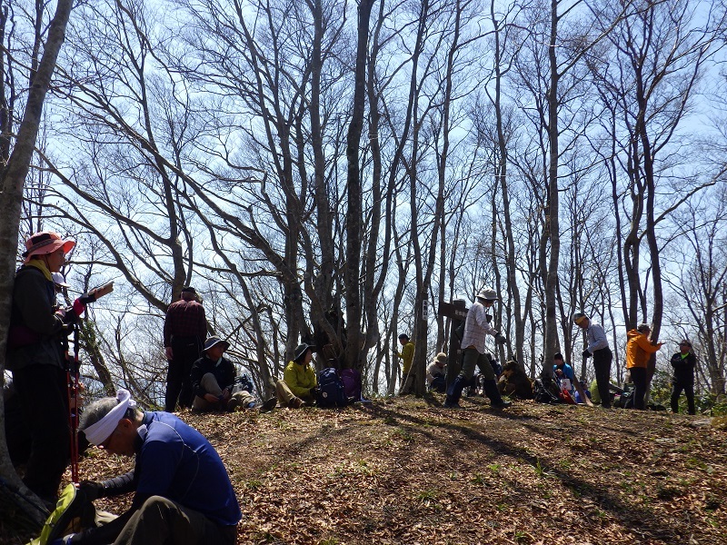 毛無山山頂の画像
