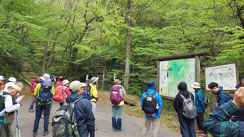 新緑真っ盛りの位出谷駐車場の画像