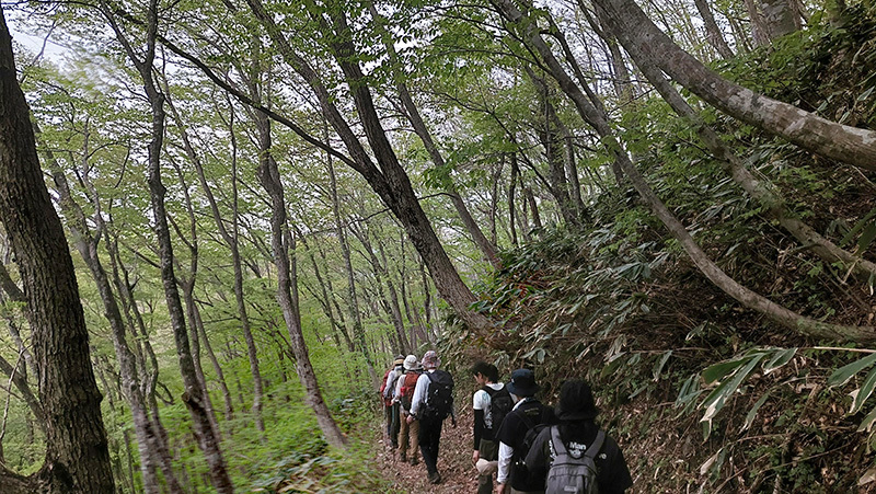 渓谷コースの下山途中の画像