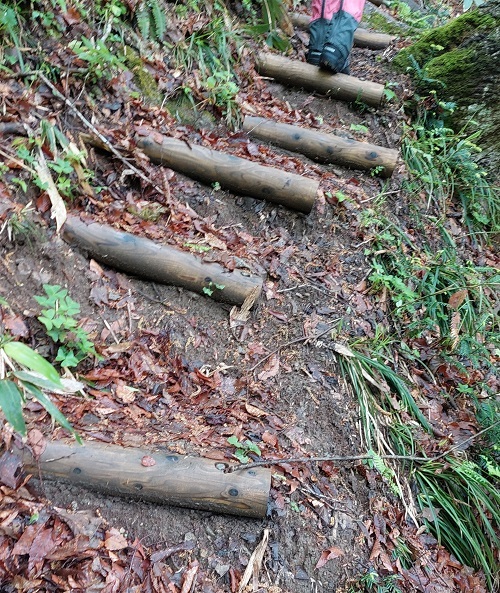 昨年度新設した丸太階段の画像