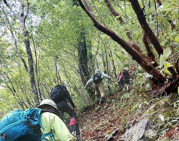 指谷山頂前のロープの登りを歩く画像