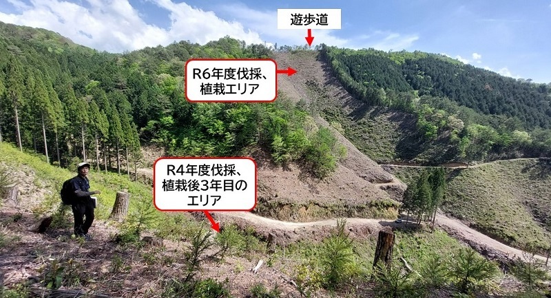 主伐エリアを前に施業の説明をする画像