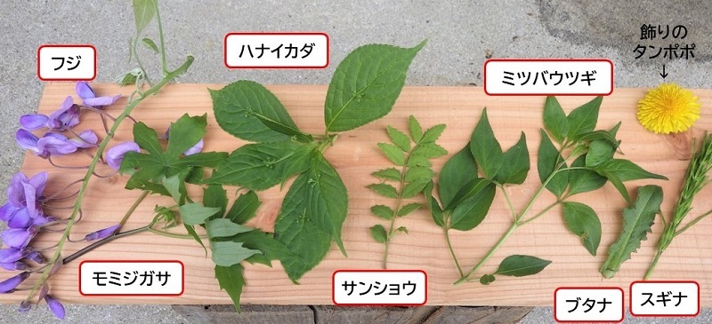 採取した7種類の食材の画像