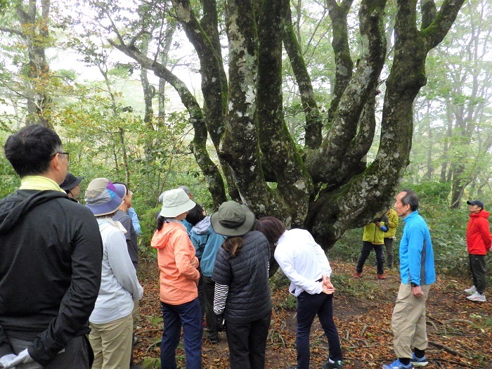 タコブナの説明を聞く参加者の画像