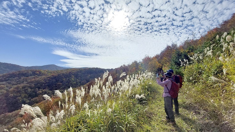 等検境ルートから眺望を楽しむ参加者の様子