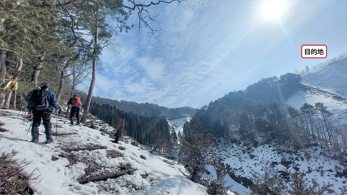登山道を登り主伐エリアが見渡せる地点へ出た画像