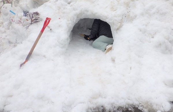雪穴を奥まで掘る参加者の画像