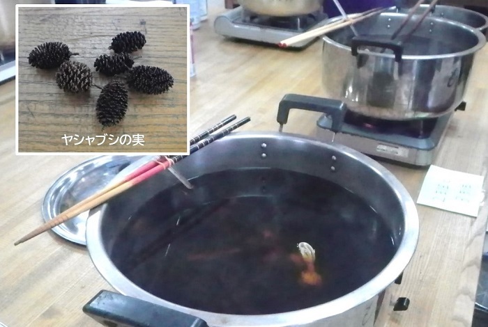 ヤシャブシの実を煮出して作った染液