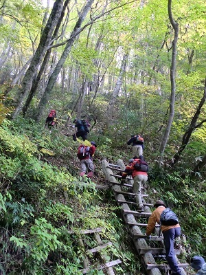 明眼寺谷ルートはしごの画像