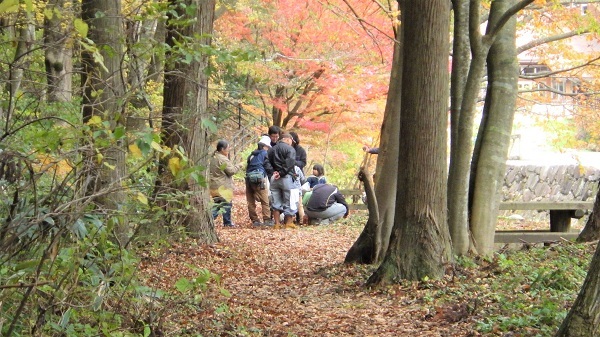 紅葉散策の画像