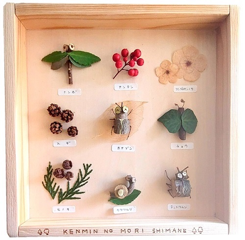 森の標本箱の画像