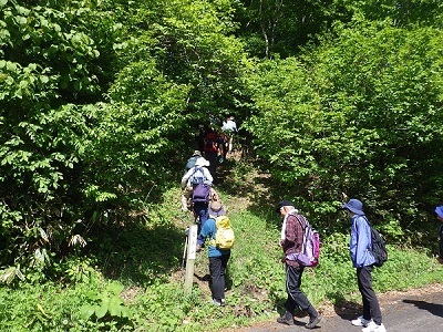 広島県側の登山口から縦走路に入る画像