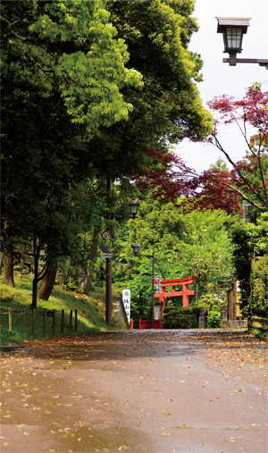 城山稲荷神社の写真