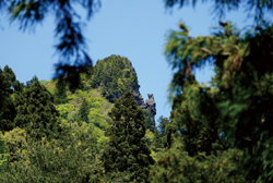 トカゲ岩の写真