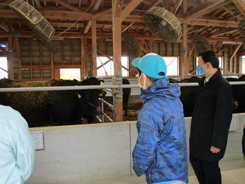 牛の管理について説明を受ける知事