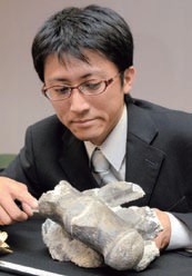 隠岐の島町で見つかった巨大ワニの脊椎骨の化石の画像