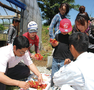 東仙道ちいき協議会で取り組んだいちご収穫体験の様子