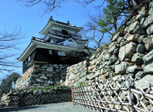 堀尾吉晴が築いた石垣と浜松城復興天守の写真