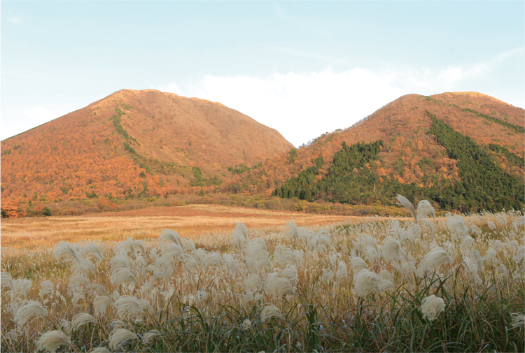 三瓶山とススキの写真