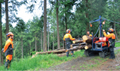 林業科の実習林の写真
