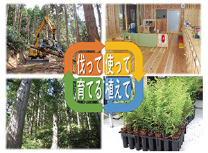 島根県が進める「循環型林業」の写真