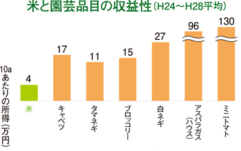 米と園芸品目の収益性（H24～H28平均）の表